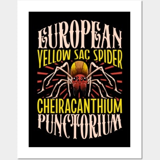 European Yellow Sac Spider Posters and Art